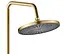 Душова система Rea Marco brushed gold з виливом REA-P8548, Золотий - мініатюра 5