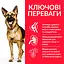 Сухий корм Hill's SP Can Mature Adult 6+ Large Breed C 2,5 кг для зрiлого собаки 6+ великих порiд зі - мініатюра 2