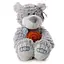 М'яка іграшка Ведмедик IF71 - мініатюра 1