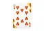 Карты игральные United States Playing Card Company Tally-Ho Autumn Circle Back (THACB) - миниатюра 4