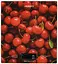 Ваги кухонні CHERRY 5кг AAAx2 в комплекті скло багатокольоровий ARDESTO kuh0015501 - мініатюра 1