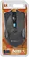 Мышка Defender Accura MM-275 Black-Blue (52275) - миниатюра 4