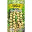 Насіння Томат високорослий Насіння України Чєррі сніжний 0.1 г (667000) - мініатюра 1