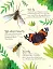 Bugs to Spot. Usborne Minis - миниатюра 5