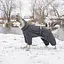 Комбинезон Pet Fashion COLD для собак серый 6XL - миниатюра 5