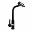 Змішувач для кухні XK09B Platinum PVD чорний - мініатюра 1