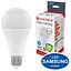 Лампочка Electrum A80 18W PA LS-33 Elegant E27 6500K (A-LS-1453) - мініатюра 1