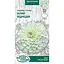 Семена Майоры Насіння України Белый мишка стройные 0.5 г (805100) - миниатюра 1