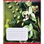 Зошит учнівський "Орхідеї" 018-530261K-2 в клітинку, 18 аркушів - мініатюра 1