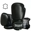 Боксерські рукавиці PP-3088 PowerPlay 10 унцій fit0006104 - миниатюра 2