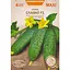Насіння огірка Насіння України Maxi Славко F1 4 г (679900) - мініатюра 1