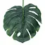 Искусственные листья Engard Monstera 74 см (TW-06) - миниатюра 8