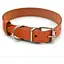 Нашийник для собак Zoo-hunt Весна шкіряний помаранчевий 1,4/23-28 см - мініатюра 1