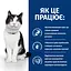 Сухий корм Hill's Prescription Diet i/d для котів 5 кг - мініатюра 7