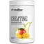 Креатин IronFlex Creatine Monohydrate, 500 грамм - Манго - миниатюра 1