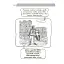 Візуалізований довідник. Новий український правопис в ілюстраціях. Правила — легко та швидко - мініатюра 10