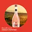 Вино ігристе Martini Bellini 0.75 л х 2 шт. - мініатюра 6