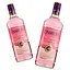 Джин Finsbury Wild Strawberry 37.5% (2 шт. x 0.7 л) - мініатюра 1