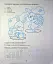 Я йду до школи. Підготовка руки до письма - мініатюра 6