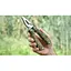 Мультитул Multi Tool Ganzo G107 (G2016P) - миниатюра 15
