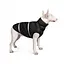 Жилет Pet Fashion Big Boss для собак, размер 3XL, черный - миниатюра 4