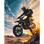 Картина по номерам "Мотоэкстрим" 12511-AC 40x50 см - миниатюра 1