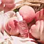 Осветляющая сыворотка с экстрактом персика 70% Peach 70% Niacinamide Serum Anua 30 мл - миниатюра 3