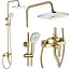 Душова система Rea Argus brushed gold з виливом REA-P7841, Золотий - мініатюра 2