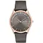 Годинник Skagen SKW2346 - мініатюра 1