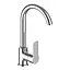 Смеситель для кухни RJ Prize хром RJFA069-05CH Хром - миниатюра 1