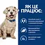 Вологий корм для собак Hill’s Prescription Diet w/d Diabetes Care при цукровому діабеті, з куркою, консерва - мініатюра 3