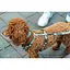 Шлея Trixie CityStyle H-harness для собак хлопок L-XL 75-120 см 25 мм светло-серый - миниатюра 5