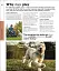 The Beginner's Dog Training Guide - мініатюра 3