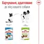 Вологий корм для дорослих собак мініатюрних розмірів Royal Canin X-Small Adult шматочки в соусі 1.02 кг (12 шт.  х 85 г) - мініатюра 4