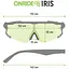 Очки Onride Iris smoke 17% в жестком чехле (1085-6936116101842) - миниатюра 2