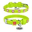 Ошейник для собак кожаный Waudog Glamour с QR-паспортом с клеевыми стразами "Цветы" Ш 12 мм Д 21-29 см салатовый - миниатюра 1