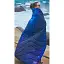 Одеяло KingCamp Smart 150 XL Starrysky - миниатюра 5