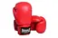 Боксерские перчатки PowerPlay 18 унций fit0011748 - миниатюра 2