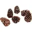 Комплект декоративных шишек Lefard 6 шт. (801-577) - миниатюра 1