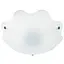 Светильник настенный-потолочный накладной Brille W-101/5 - миниатюра 1