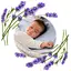 Грілка BabyOno з кісточок вишні та ароматом лаванди 13х16 см бежева (796/05) - мініатюра 5