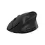 Мишка Canyon MW-25 LED Silent Wireless/Bluetooth Black (CNS-CMSW25) - мініатюра 2