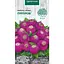 Семена Майоры Насіння України пурпурные низкие 0.5 г (807200) - миниатюра 1