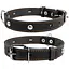 Ошейник для собак Collar одинарный с украшением (4820082491796) - миниатюра 1