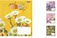 Зошити учнівські 18 аркушів лінія. 1В Vibes, 25 шт. в упаковці - мініатюра 1