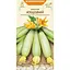 Насіння кабачка Насіння України Кущовий 3 г (582300) - мініатюра 1