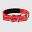 Ошейник Hidog Красный 25мм Полипропилен 323 (2000990067852A)(SN) - миниатюра 1