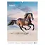 Календар настінний Axent А3 Horses 2026 рік (8804-26-3-A) - мініатюра 11