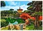 Пазл Castorland Сад Нан Лиан Гонконг Китай 1000 эл. (C-104932) - миниатюра 2