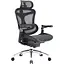 Крісло офісне Sihoo Doro C300 Pro Mesh Black (DORO-C300-PRO-M101) - мініатюра 4